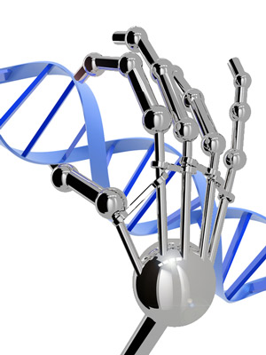 Palec cynkowy może przyklejać się do wybranej sekwencji DNA. I wcale nie wygląda jak palec robota.
