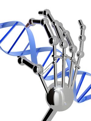 Palec cynkowy może przyklejać się do wybranej sekwencji DNA. I wcale nie wygląda jak palec robota.  