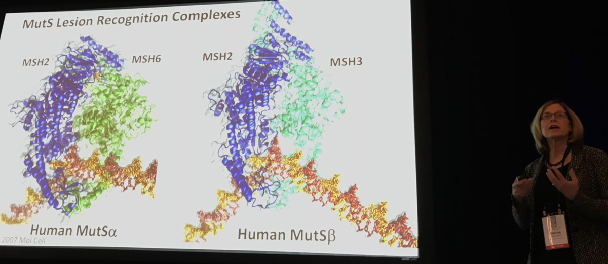 Loreena Beese pokazuje model jednej z maszyn białkowych, która opiekuje się DNA i jest związana z szybszym lub wolniejszym rozwojem HD  