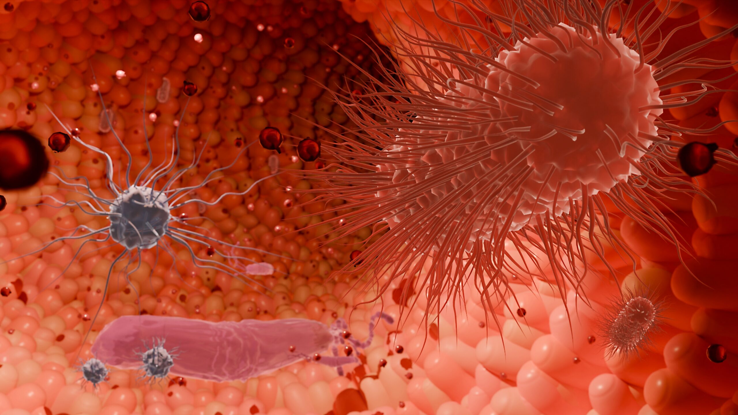 Odżywianie mózgu przez jelita: Jak prebiotyki mogą kształtować chorobę Huntingtona