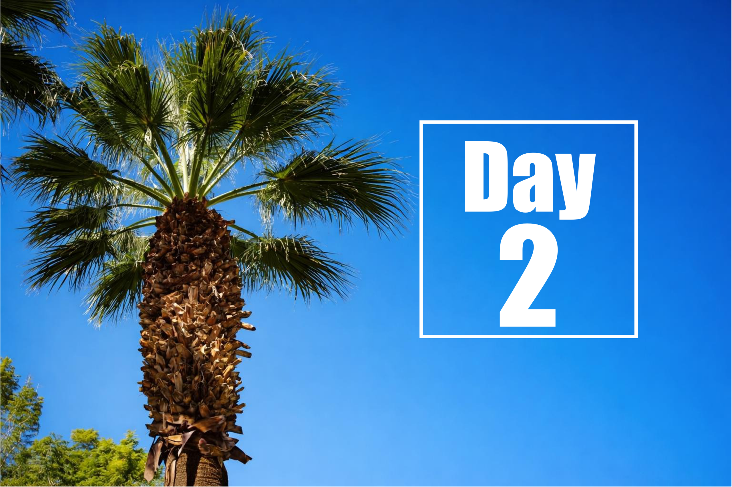 Konferencja Terapeutyczna Choroby Huntingtona 2026 – Dzień 2