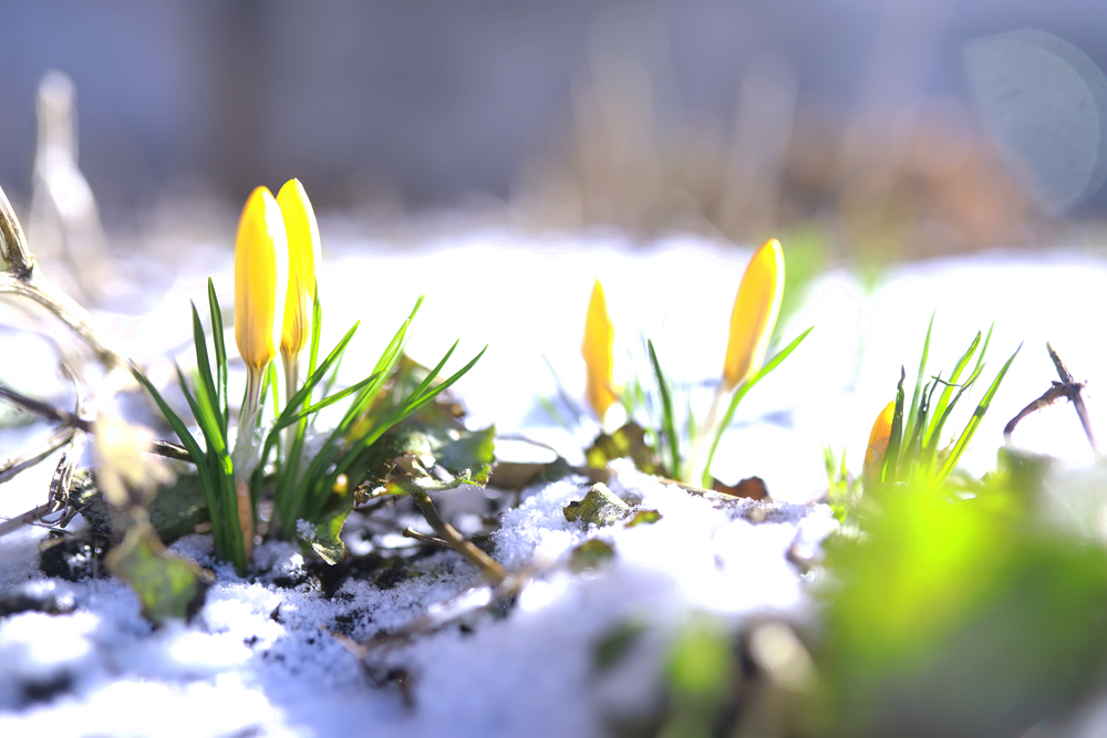 Marzec 2026: Ten miesiąc w badaniach nad chorobą Huntingtona