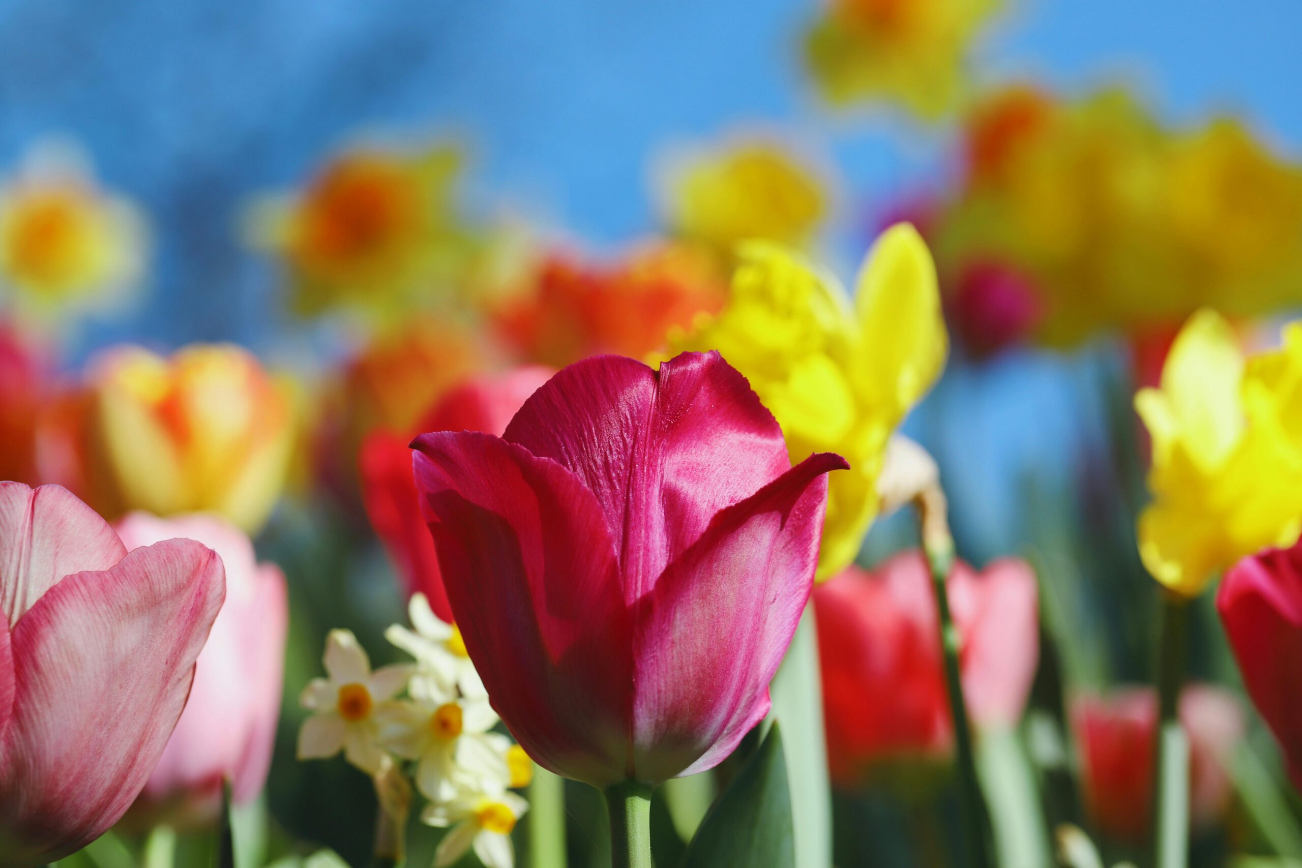 Kwiecień 2026: Ten miesiąc w badaniach nad chorobą Huntingtona